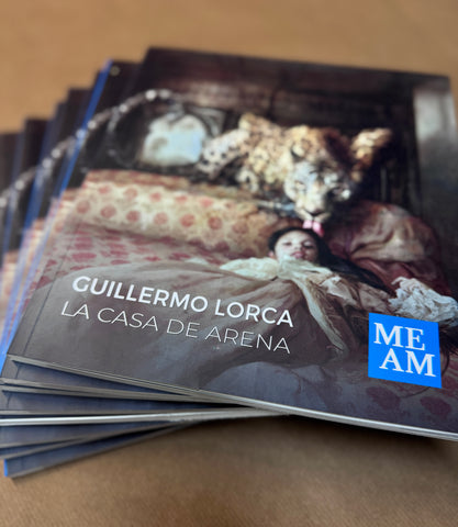 La Casa de Arena de Guillermo Lorca | Catálogo de la exposición
