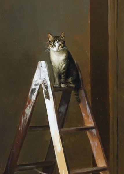 Postal | Marcos Palazzi